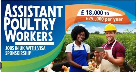 Visa Sponsorship Assistant Poultry Workers Jobs in UK 2025