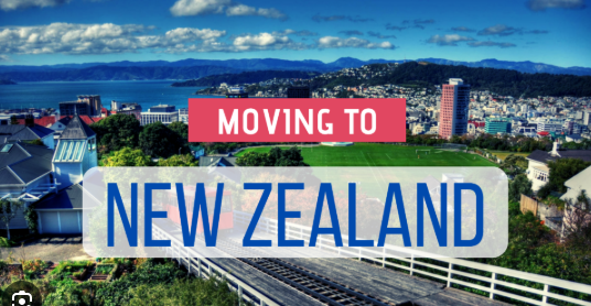 Furniture Packing and Moving Jobs in New Zealand 2025