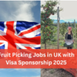 Fruit Picking Jobs in UK With Visa Sponsored 2025 – Apply Now