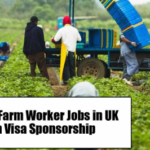 Farm Stock Worker Jobs in UK 2025 – Apply Now