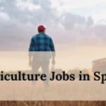 Agriculture Farm Jobs In Spain with Visa Sponsorship 2026